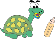 turtle_Baby