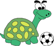 turtle_Sport